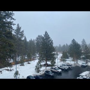 Meet your Posher, Tracy